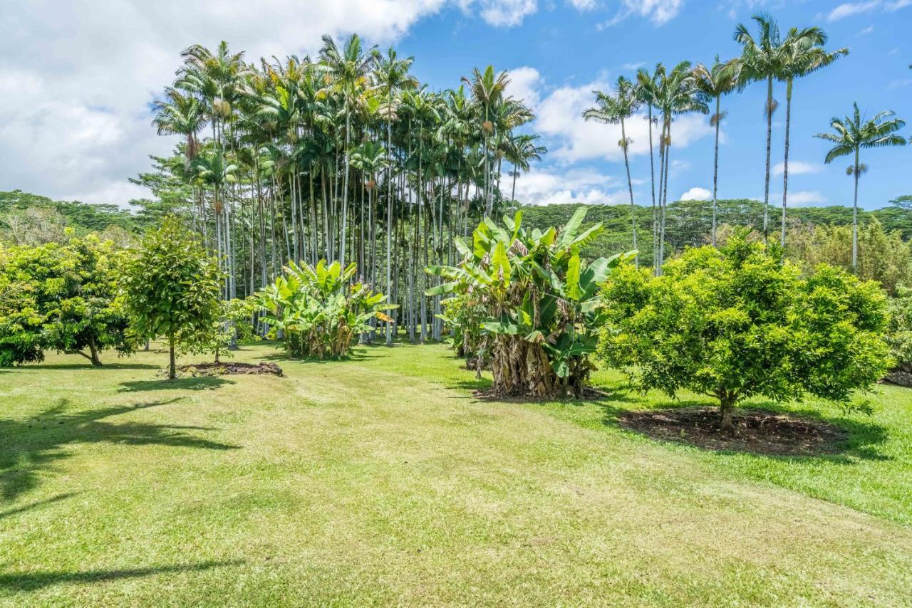 Old Hawaiian Bed And Breakfast Hilo Bagian luar foto