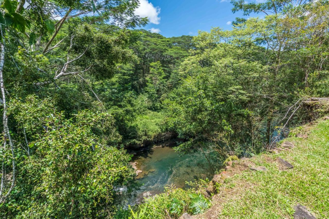 Old Hawaiian Bed And Breakfast Hilo Bagian luar foto