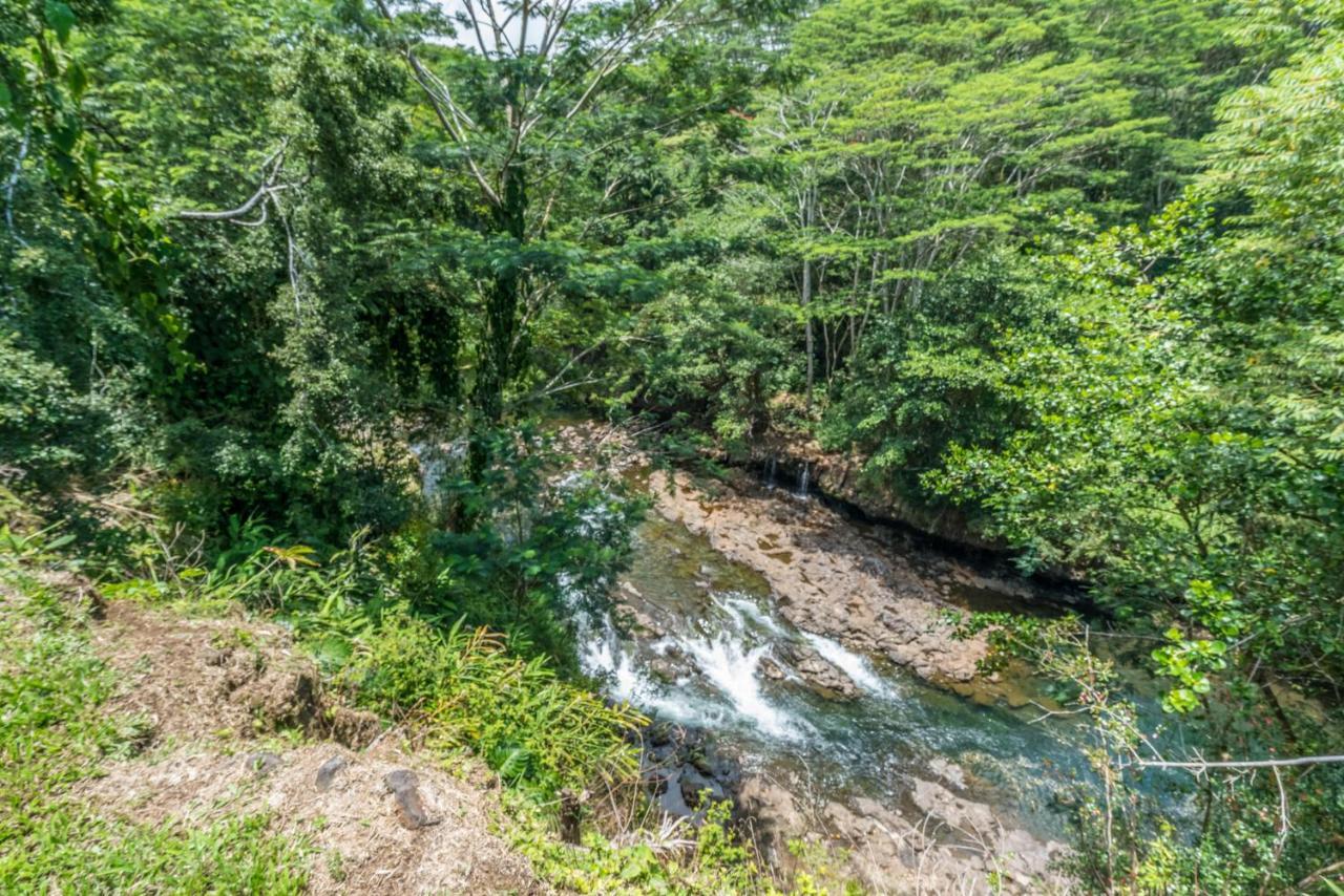 Old Hawaiian Bed And Breakfast Hilo Bagian luar foto