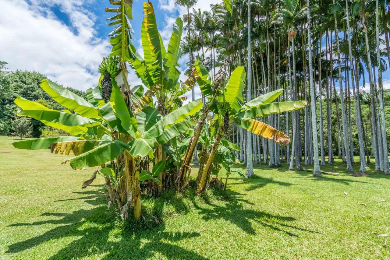 Old Hawaiian Bed And Breakfast Hilo Bagian luar foto