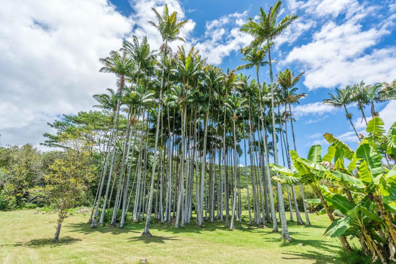 Old Hawaiian Bed And Breakfast Hilo Bagian luar foto